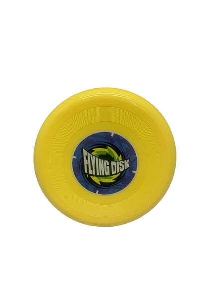 OEM Flying Disc – Outdoor, Sports and Competition Toy