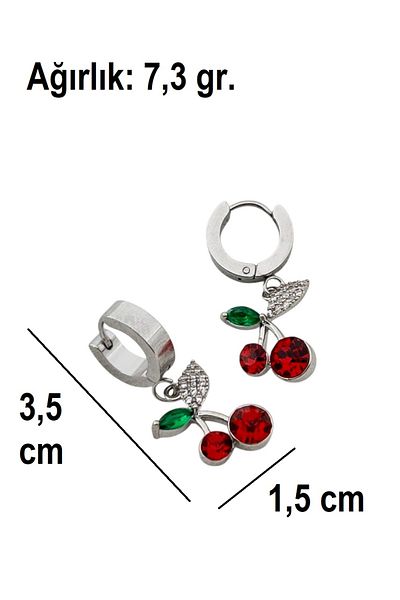 Siya Silver Non-Tarnish Steel Zircon Stone Dangle Cherry Earrings