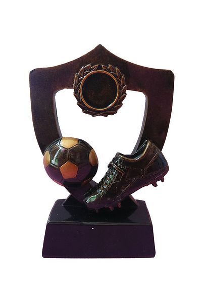 BV Ice trophy with ball, Football, 17 cm, A-139