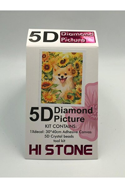 DUCK HOBY 30x40 Boncuklu Taş İşleme Mozaik Elmas Goblen Tablo Resim Boncuk Puzzle Dıamond Paıntıng Hı Stone