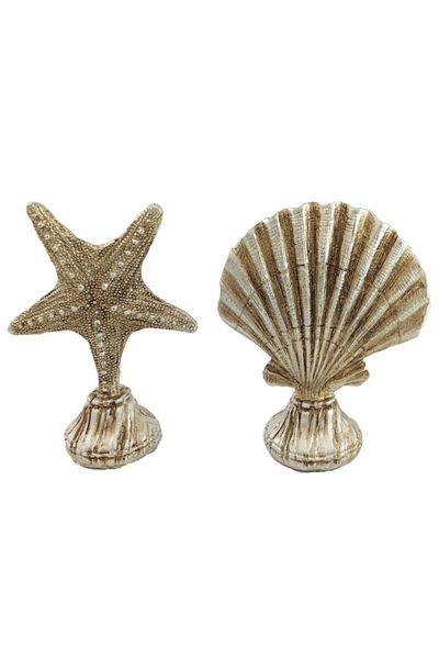 BV Decoration set consisting of starfish and shell, TD911D