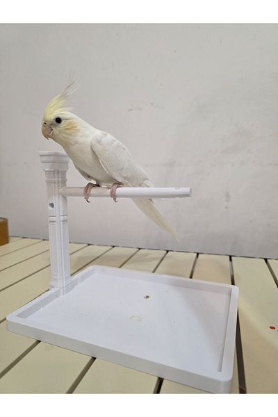 Bofen Budgie Cockatiel Bird Suitcase Antique Design (Plastic)