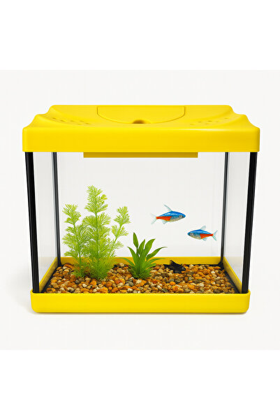 Pawsome Palace Büyük Boy Akvaryum 35x16x29 cm – Masaüstü Şeffaf Cam Balık Tankı