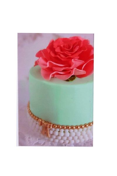 BV Silicone fondant mold, Lantic, White, 27 cm, 370COF