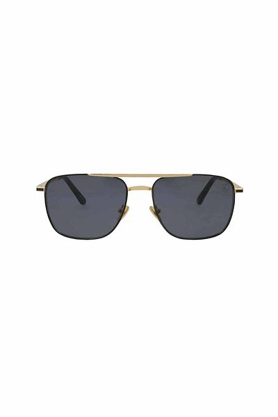 TROY 2316 T C:4 Gold color sunglasses for Men