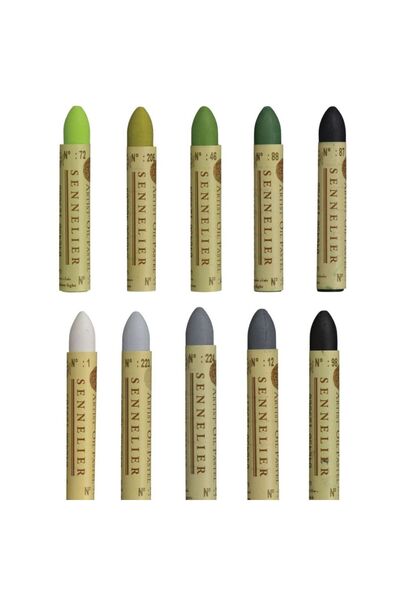Sennelier مجموعة ألوان الباستيل الزيتية للفنانين - مجموعة من 10 قطع - درجات اللون الأخضر والرمادي
