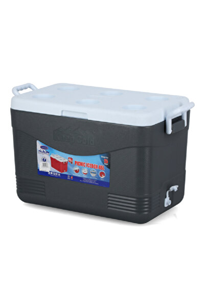 Cosmoplast Keep Cold BPA-Free Picnic Ice Box with Handle Grey 46 Liter
