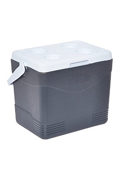 Cosmoplast Keep Cold Durable BPA-Free Picnic Ice Box with Handle Grey 24 Liter