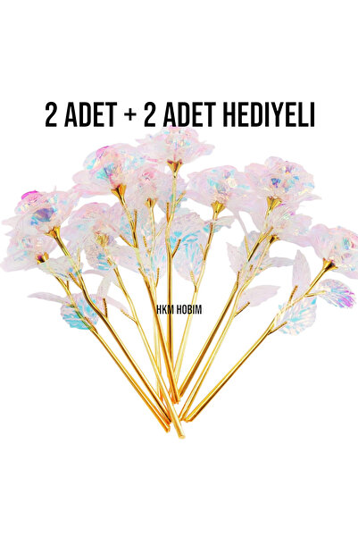 HKM Hobim Solmayan Sonsuzluk Gülü – Çoklu Alım 2 2 Adet | Anlamlı Hediye | An...