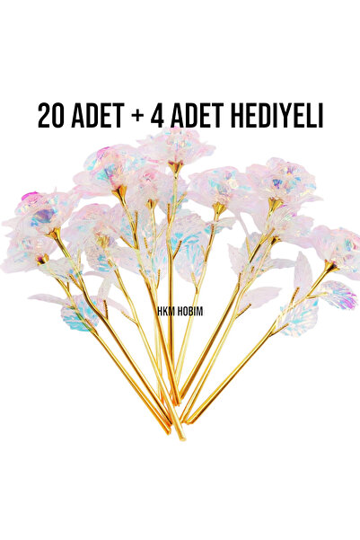 HKM Hobim وردة إنفينيتي غير قابلة للبهتان – 20 4 قطعة مع هدية |   هدية معنى |...