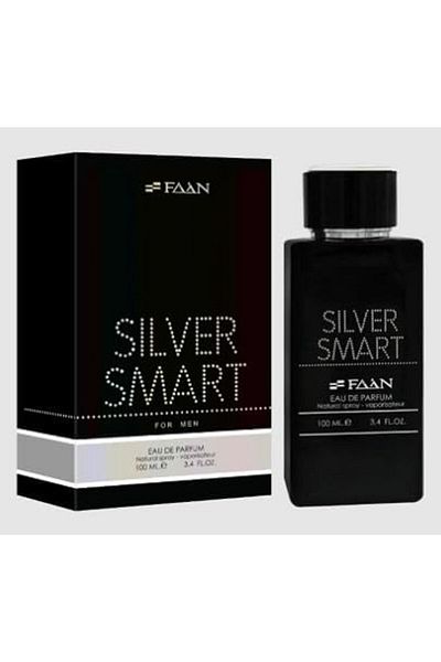 Fan Silver Smart Perfume for Men by Fan 100ml