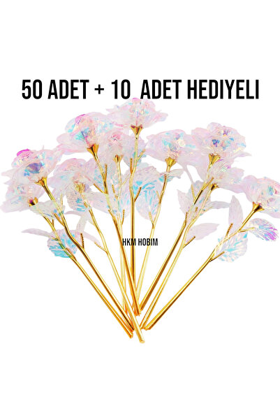 HKM Hobim وردة إنفينيتي لا تتلاشى - 50 10 قطع مع هدية |   هدية معنى |   عيد ا...