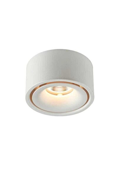 LightPlanet Spot LED Alb 12 W 4000K D10cm