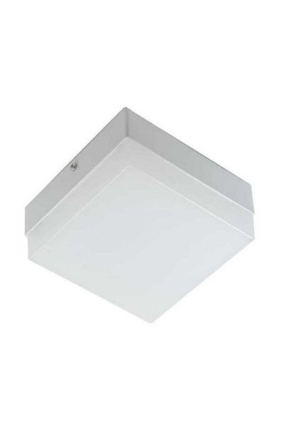 Jiju Spot Applied Fsp 506 24 W Square 3000K Warm Light