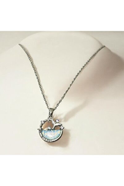 staınless steel قلادة ذيل السمكة الفولاذية