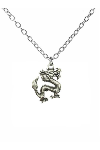 Herşey Nota Unisex Necklace with Dragon Figure – 60 cm Chain, Symbol of Power and Protection