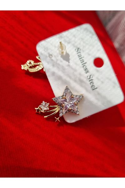 LİLİA Steel Tail Star Earrings