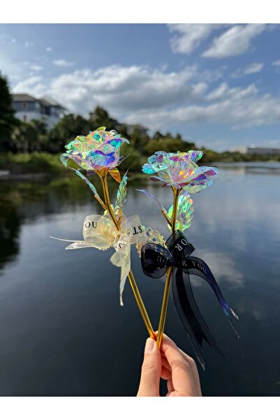 BYSHOPPİNG Sonsuzluk Gülü Dekoratif Hediyelik Seviliye Özel Hediyelik İnfinty Rose