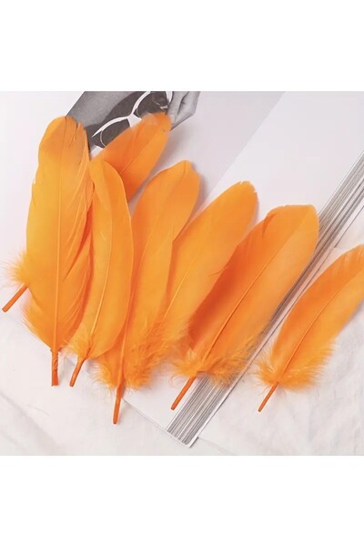 HOBYGAMES Turuncu Kuş Tüyü 10 Adet