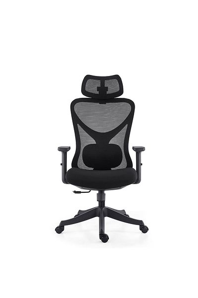 rexa Adjustable Mesh Ergonomic Task Chair – Comfortable Home Office Computer Chair