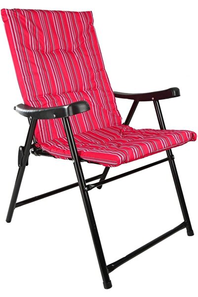 rexa Foldable Camping Chair, Multi Color