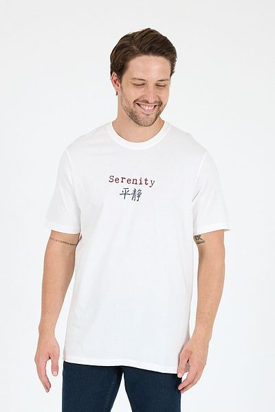 Rodi 100% Cotton Crew Neck Printed Relaxed Fit, Breathable Fabric Men's T-Shirt Basic T-Shirt 0104