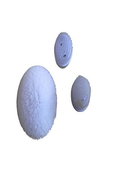 OEM Set 3 perii inlocuibile pentru peria de curatat electrica Scrubtastic