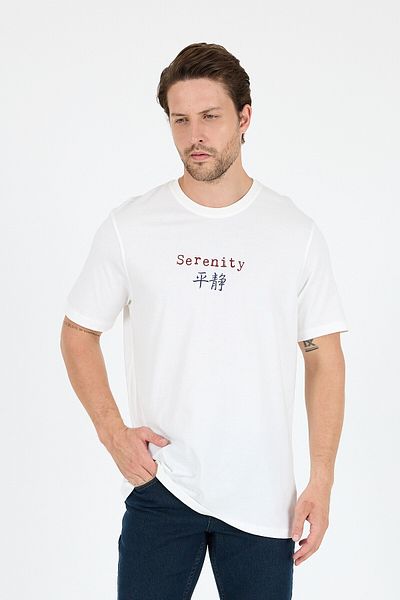 Rodi 100% Cotton Crew Neck Printed Relaxed Fit, Breathable Fabric Men's T-Shirt Basic T-Shirt 0104