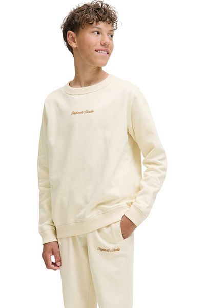Jack & Jones Bluză JACK & JONES Norrebro EMB JNR - 12284064-Alb Antic