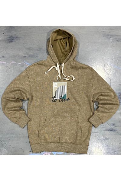 ALANAQA Unisex Oversized Hoodie with Back Print Pullover
