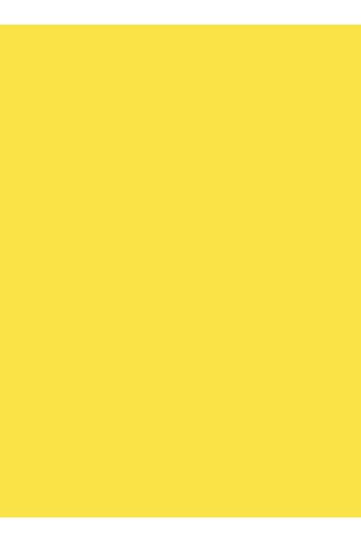 Rustoleum Painter's Touch 2X Ultra Cover Satin Spray Paint Plus Primer Satin Summer Squash