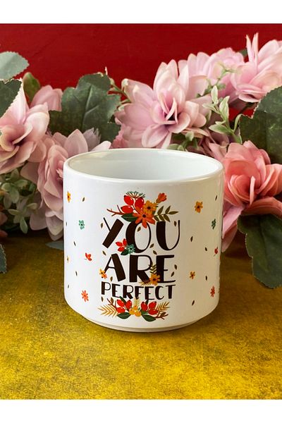 Hepsi Enteresan "You Are Perfect" Cup, Gift for Friend, Mother, Birthday Gift
