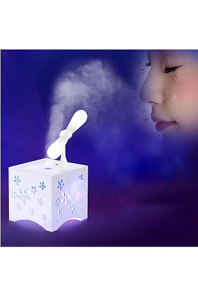 Biki 450ml Hollow Spray Fan Aroma Humidifier Aromatherapy Diffuser Purifier