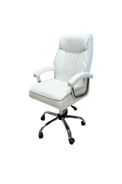 rexa Ergonomic Office Chair – Comfortable Adjustable Chair for Home & Workplace Use