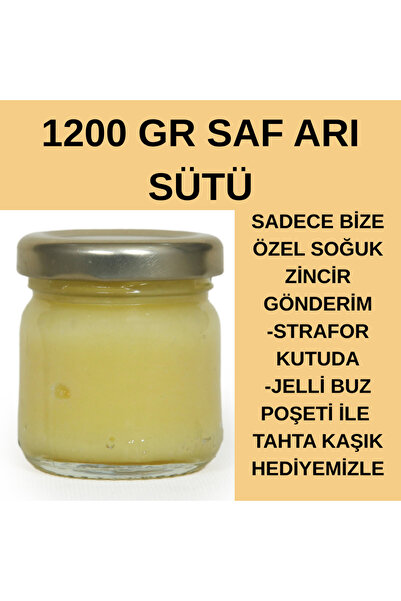 APİMED SAF ARI SÜTÜ(1200 gr) – Doğal, Taze ve Soğuk Zincirli Gönderim