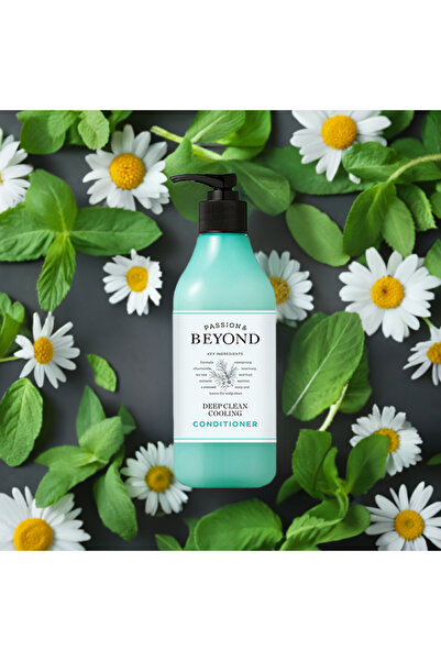 The Face Shop Beyond Deep Clean Cooling Conditioner