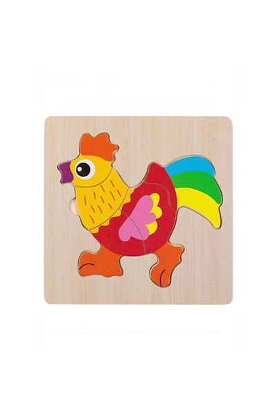 OEM Wooden Coconut Puzzle with 5 Pieces