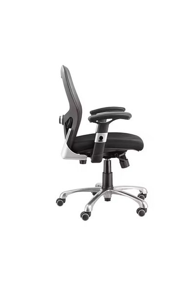 rexa Ergonomic Office Chair – Comfortable Adjustable Chair for Home & Workplace Use
