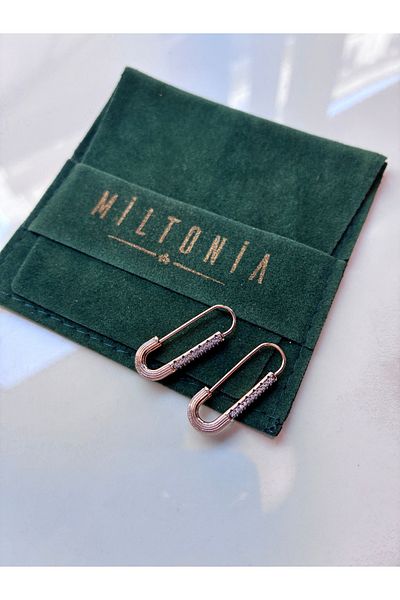Miltonia Bronze Hook Steel Earrings