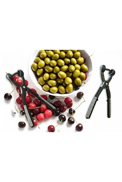 TEKNO İSTANBUL Çekirdek Çıkarıcı Vişne Zeytin Çekirdek Çıkarıcı Meyve Çekirdeği Çıkarma Pensesi