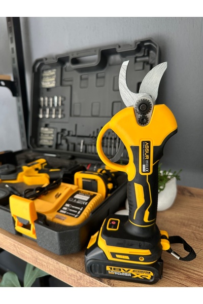 Ağaoğlu Genel Markalar 3’lü Set 18V XR Akülü Budama Makası + Mini Zincir Testere + Darbeli Matkap