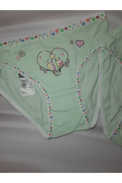 Butik Green Passion Elastane Front Printed Bato 2 Pcs Girl Panties