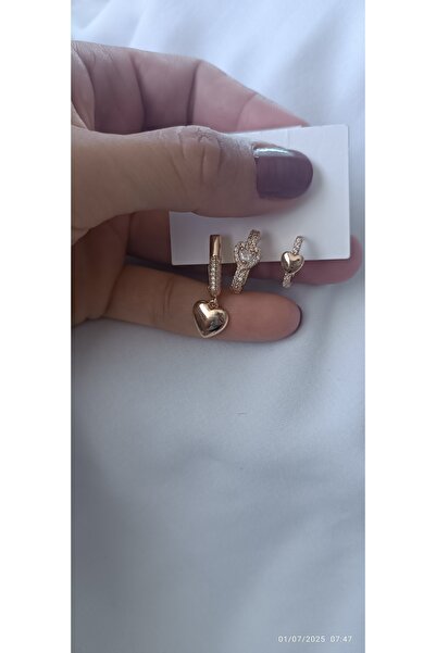 ARİ TAKI Heart Rose Mounted 3 Steel Earrings