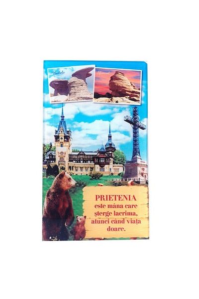 Blusmart Glass wall art with images from the Bucegi Mountains and maxims about friendship, 10x17 cm, M4