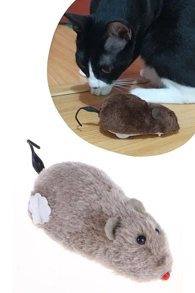 yenitoptan Wind-Up Cat Training Toy Furry Plush Mouse Interactive Cute Fun Toy