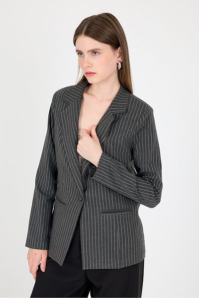 Rays Jachetă blazer cu un singur nasture cu dungi antracit 4594A