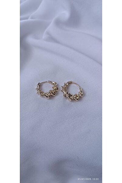 ARİ TAKI Gold auger steel earrings