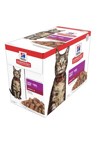 Hill's Hills Cat Food for Kittens Beef Flavor 12 Sachets