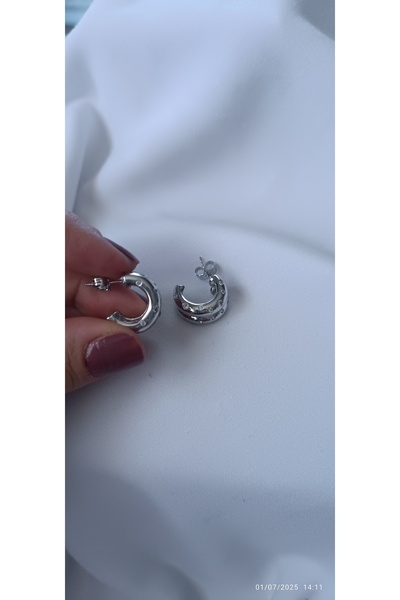 ARİ TAKI Double Half Ring Silver Steel Earrings