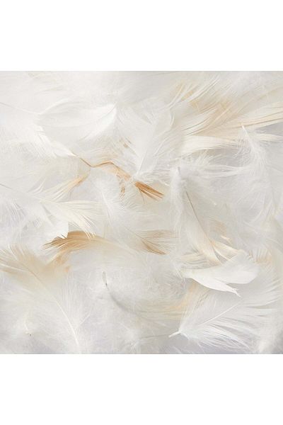 Muji Feather Pillow, W50 x L70 cm, White